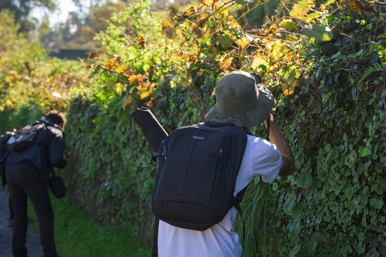 476816676_1301667600877155_1857251081609562268_n